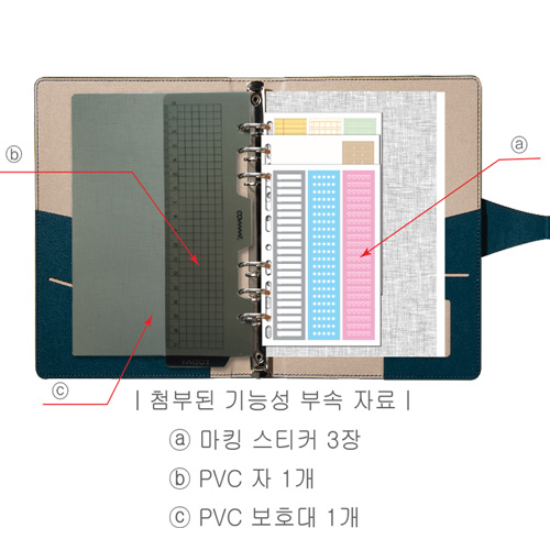 시스템 피콕그린